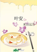 葉安小說封面
