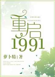重啓1991小说封面