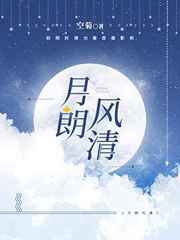 月朗風清小說封面