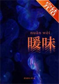 暖味nuǎnwèi小说封面
